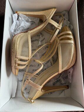 Champagne Gold Mesh Heels by Caparros